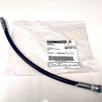     . 287003 - KORTEX